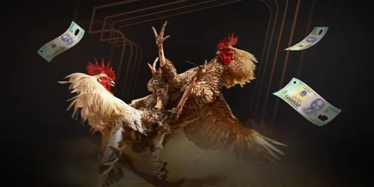 Khám Phá Đá Gà ABC8 Trận Chiến Đỉnh Cao Nổ Cựa Sắt Gay Cấn