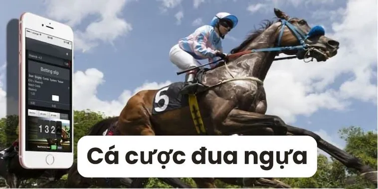 Khám Phá Cá Cược Đua Ngựa ABC8 Đỉnh Cao Thắng Lớn Siêu Hấp Dẫn