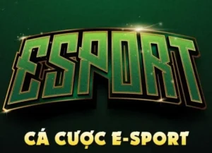Hướng Dẫn Chi Tiết Cách Chơi Thể Thao Điện Tử Tại ABC8 Để Thắng Lớn
